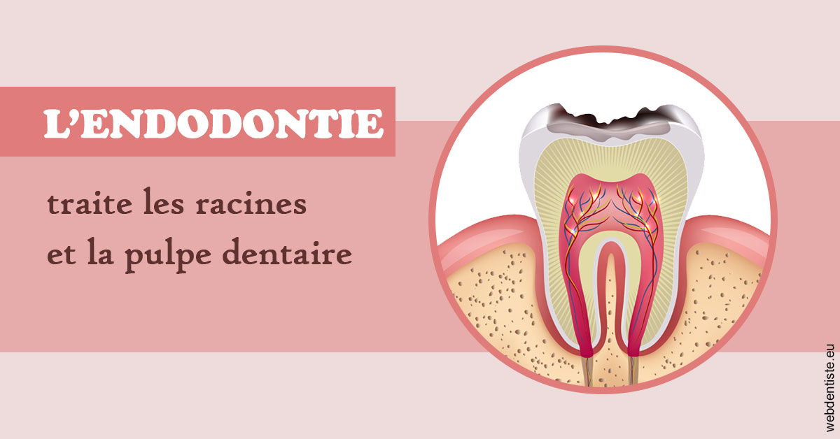 https://cabinetdentaireimplantaire.com/L'endodontie 2